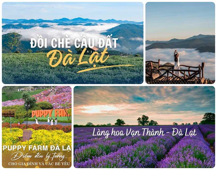 Ngày 2: Chinh phục ngoại ô & Săn mây