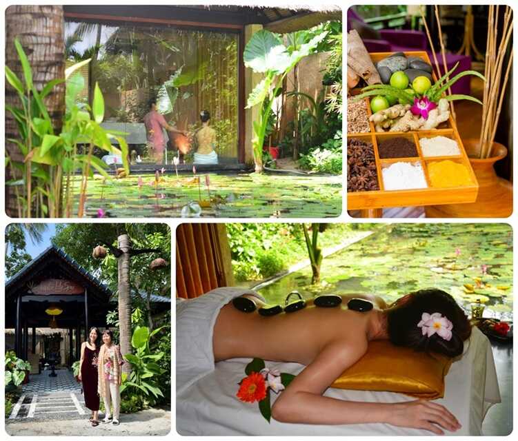 Water Lily Spa: