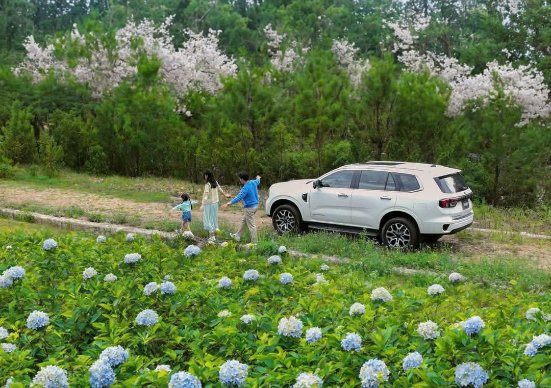  Bảng Giá Thuê Xe 7 Chỗ Từ Đà Lạt đi Cần Thơ