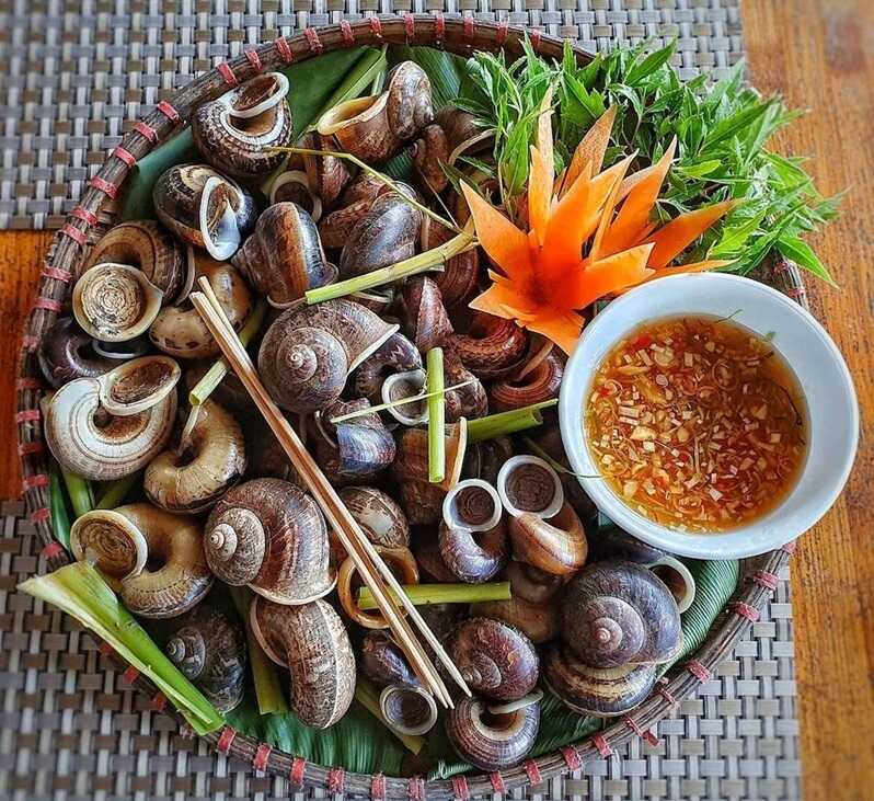 Ninh Binh Mountain Snail