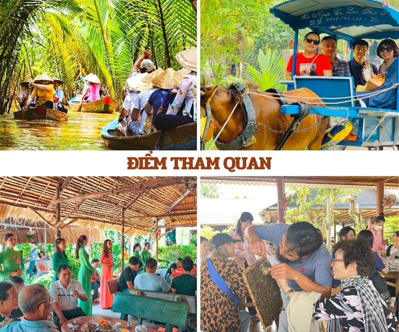 Tuyến Cao Lãnh – Tam Nông (Phù hợp 2 ngày 1 đêm):