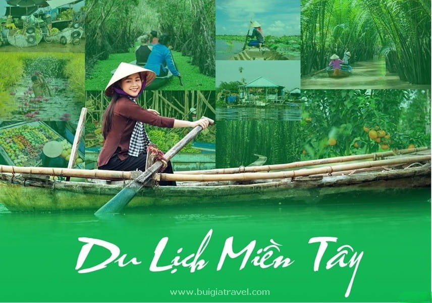 Dịch Vụ Thuê Xe Đi Long An Từ TPHCM: Bảng Giá & Kinh Nghiệm Khám Phá Cửa Ngõ Miền Tây