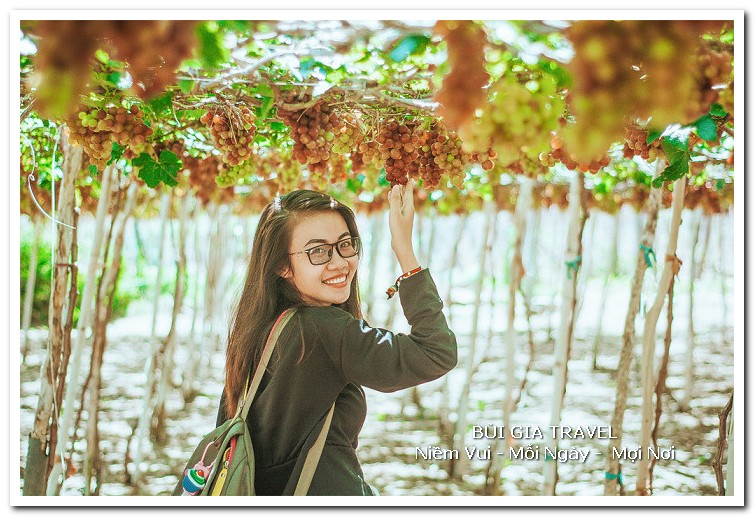 Khu Vườn Nho