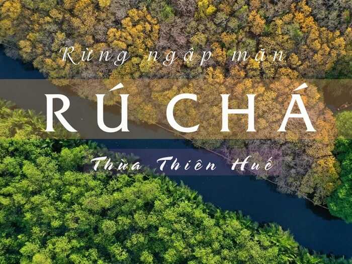  Rừng Ngập Mặn Rú Chá