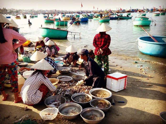 Kinh nghiệm mua hải sản ngon ở Mũi Né