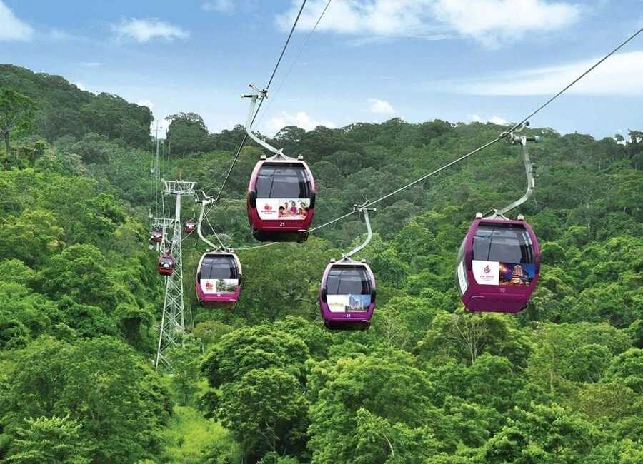 Chinh phục cáp treo ngắm toàn cảnh rừng nguyên sinh